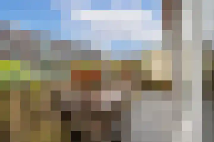 Croeselaan 265 BS Utrecht thumbnail 24