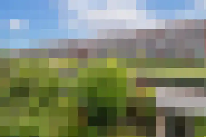 Croeselaan 265 BS Utrecht thumbnail 25