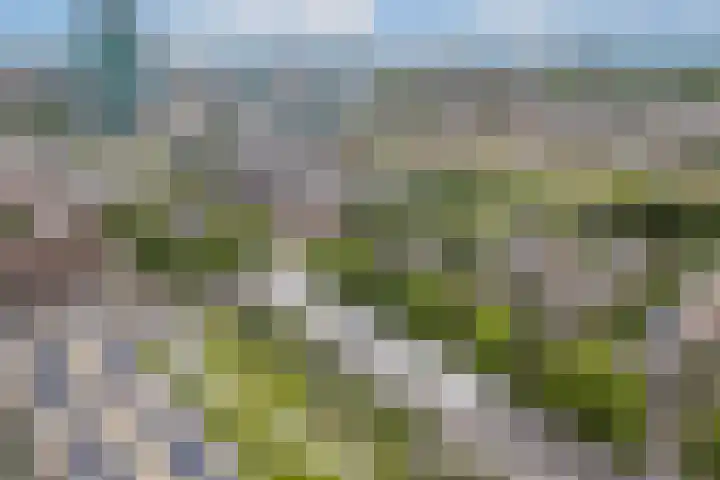 Croeselaan 265 BS Utrecht thumbnail 36