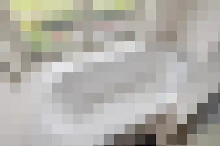 Croeselaan 265 BS Utrecht thumbnail 40