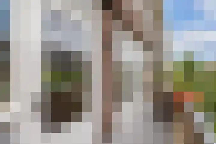 Croeselaan 265 BS Utrecht thumbnail 5