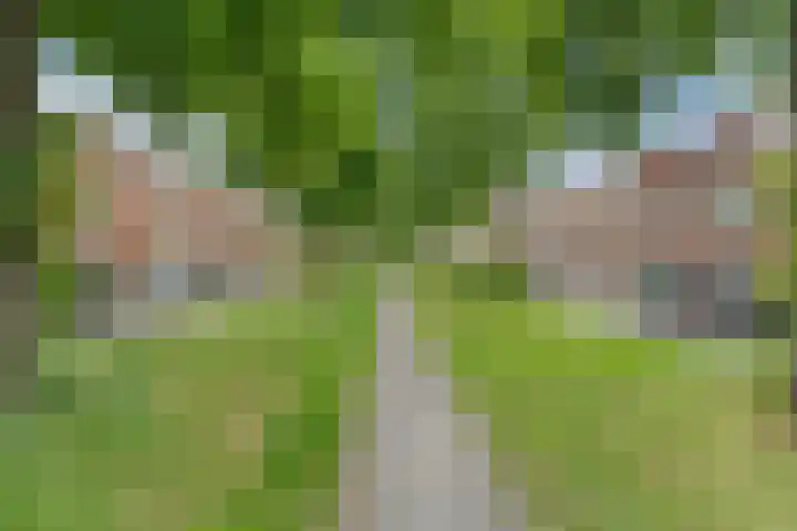 Croeselaan 287 A Utrecht thumbnail 29