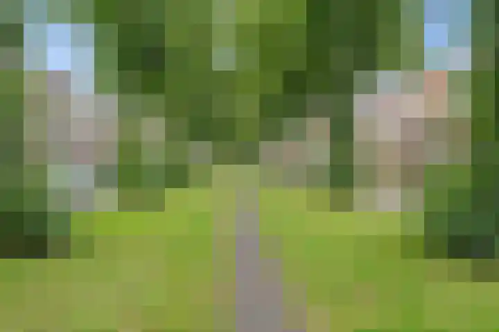 Croeselaan 369 B Utrecht thumbnail 26