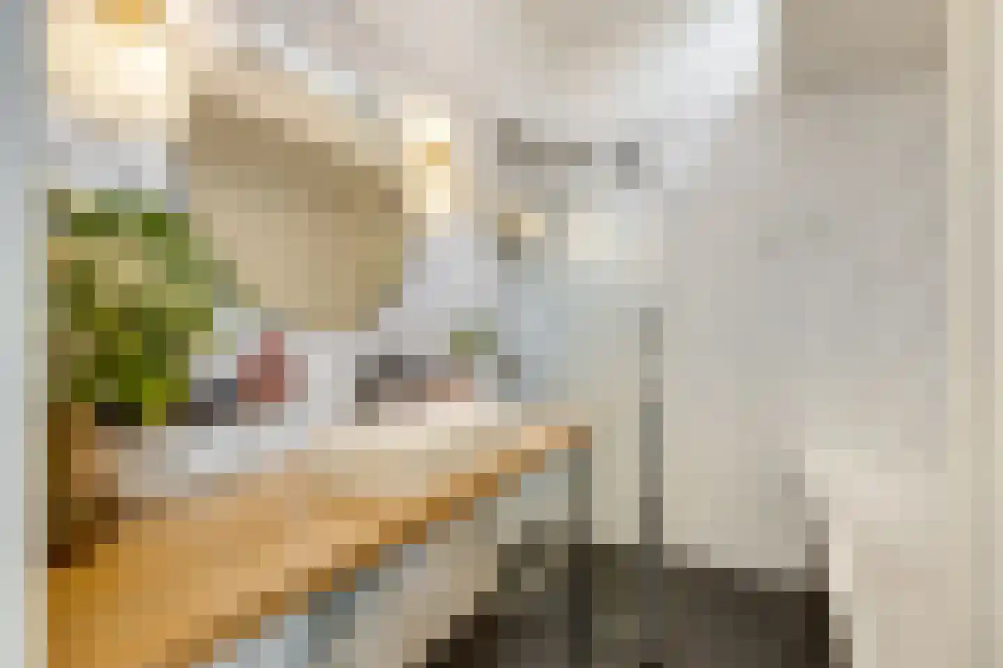 Croesestraat 1 Utrecht thumbnail 20