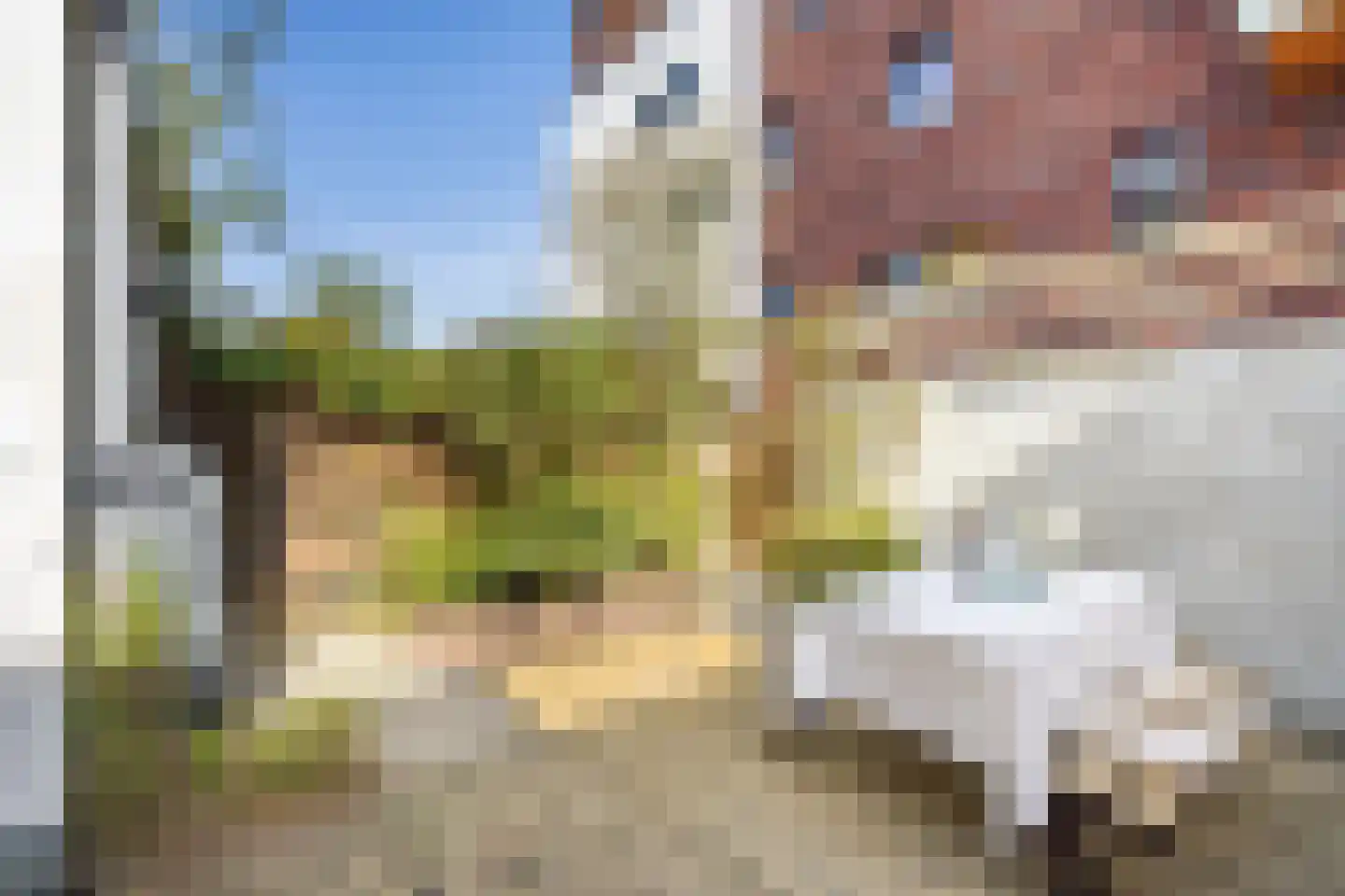 Croesestraat 1 Utrecht thumbnail 24