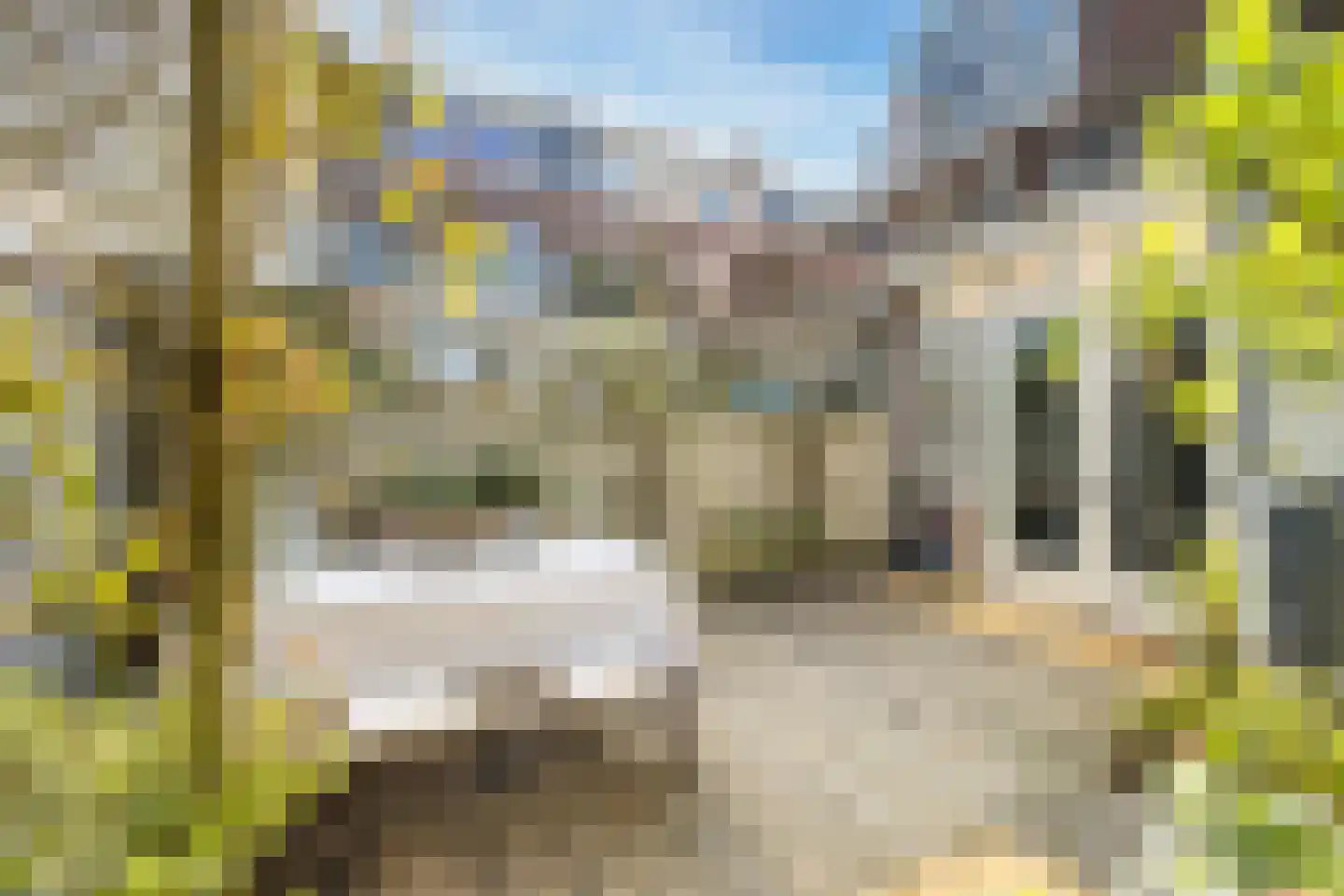 Croesestraat 1 Utrecht thumbnail 26