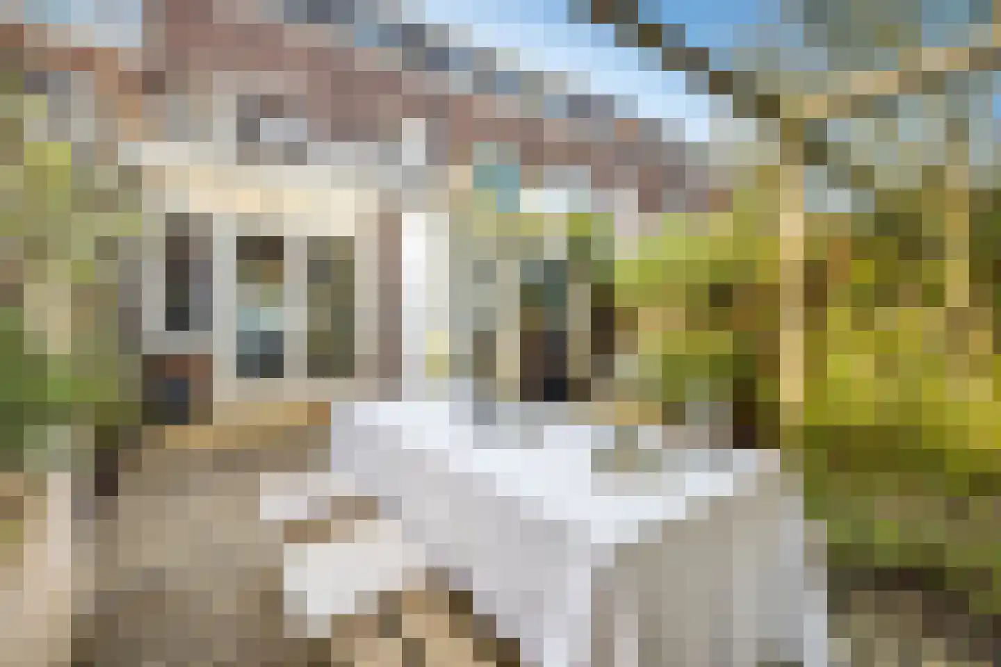 Croesestraat 1 Utrecht thumbnail 27