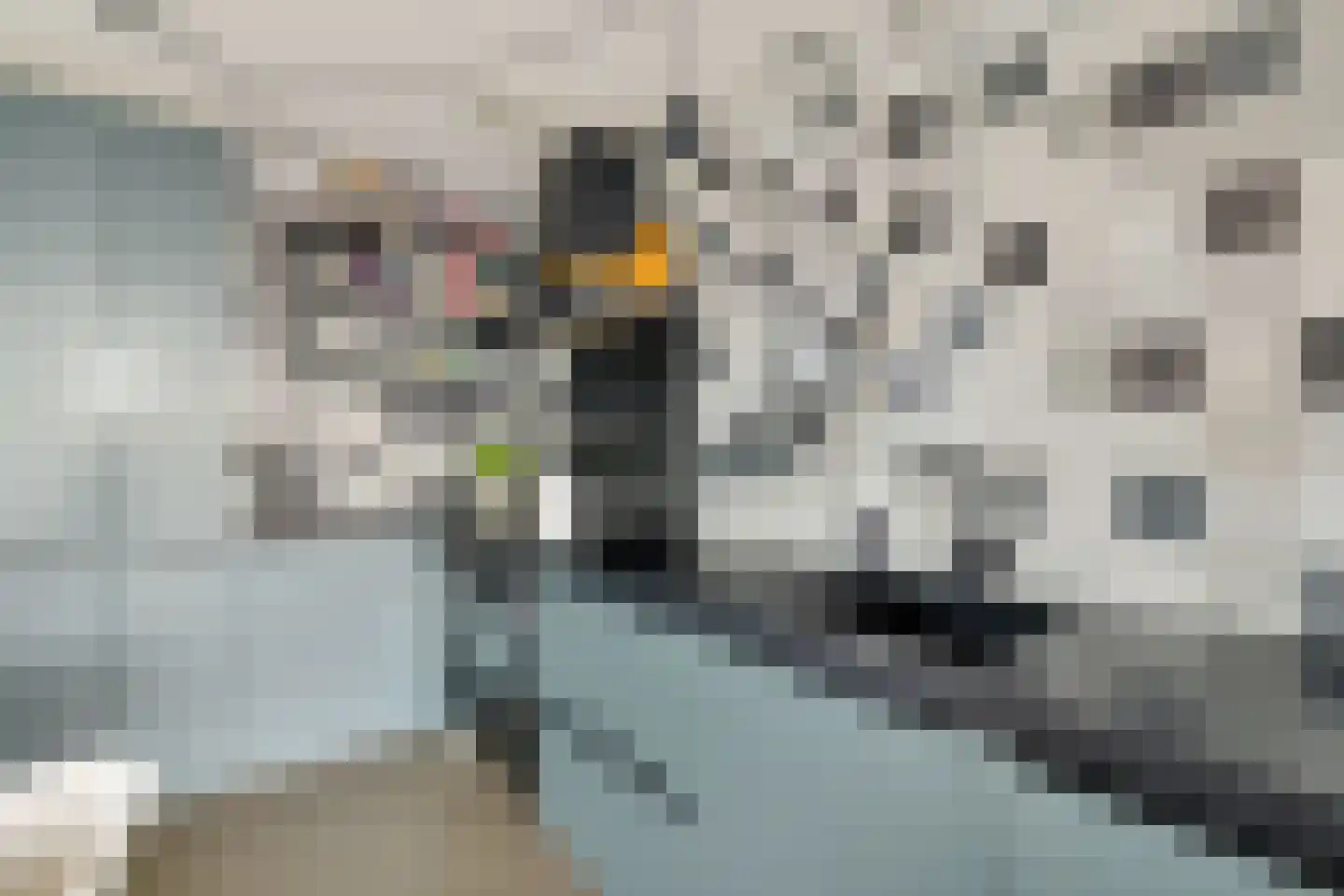 Croesestraat 109 Utrecht thumbnail 14