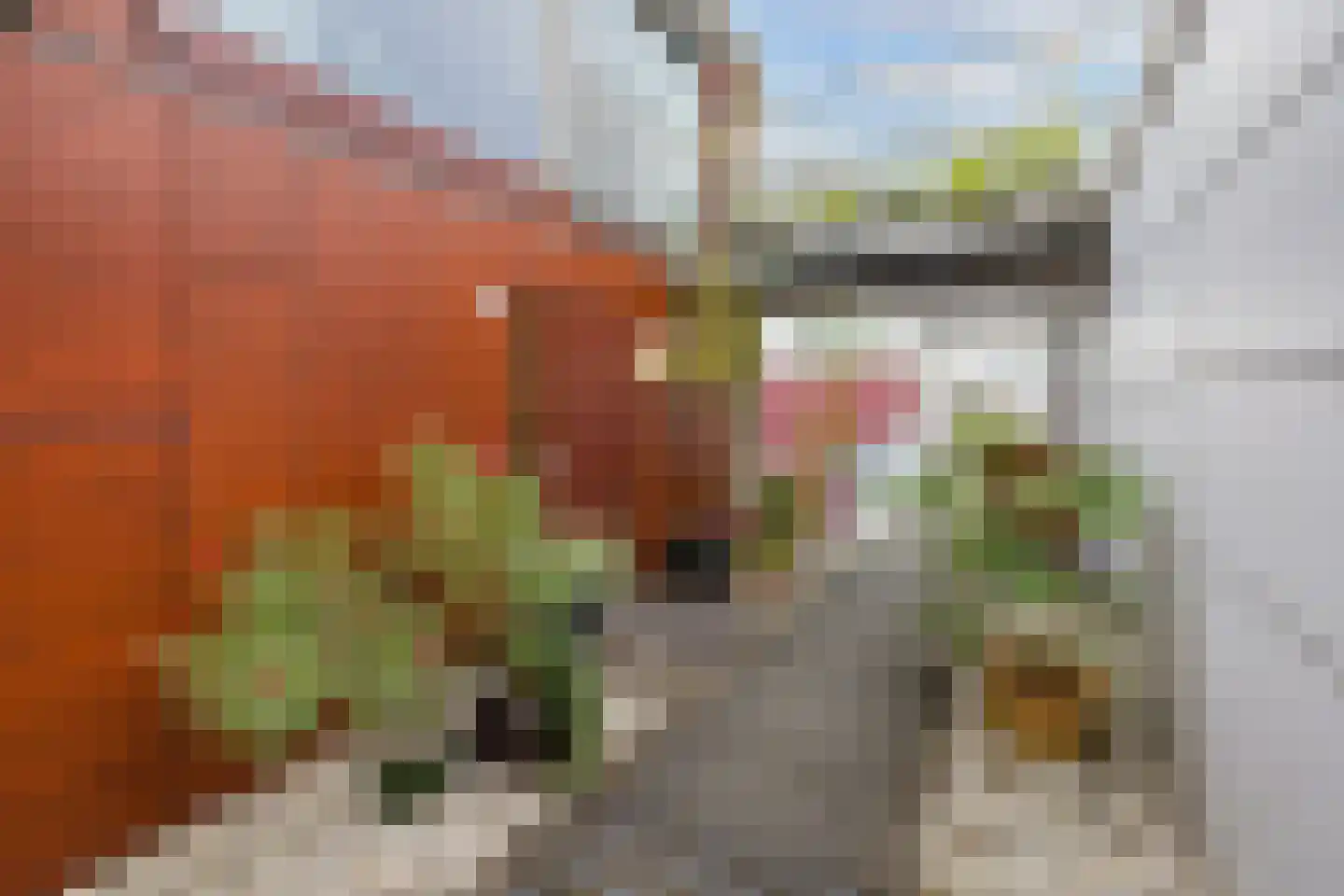 Croesestraat 109 Utrecht thumbnail 9