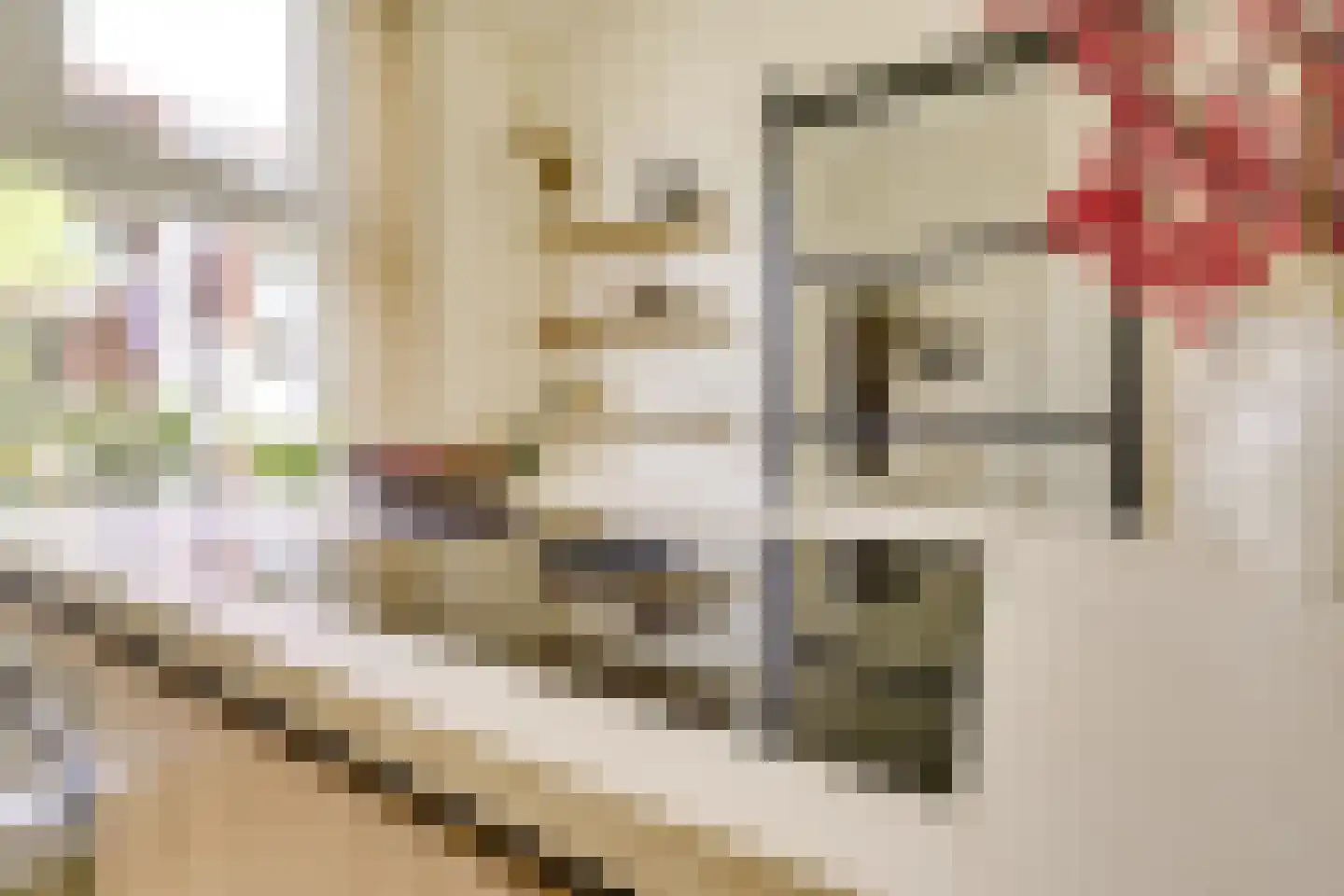Croesestraat 114 Utrecht thumbnail 13