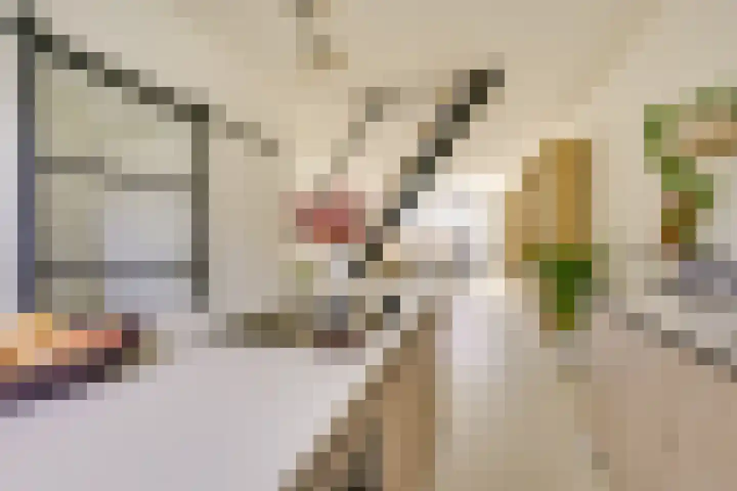 Croesestraat 114 Utrecht thumbnail 17