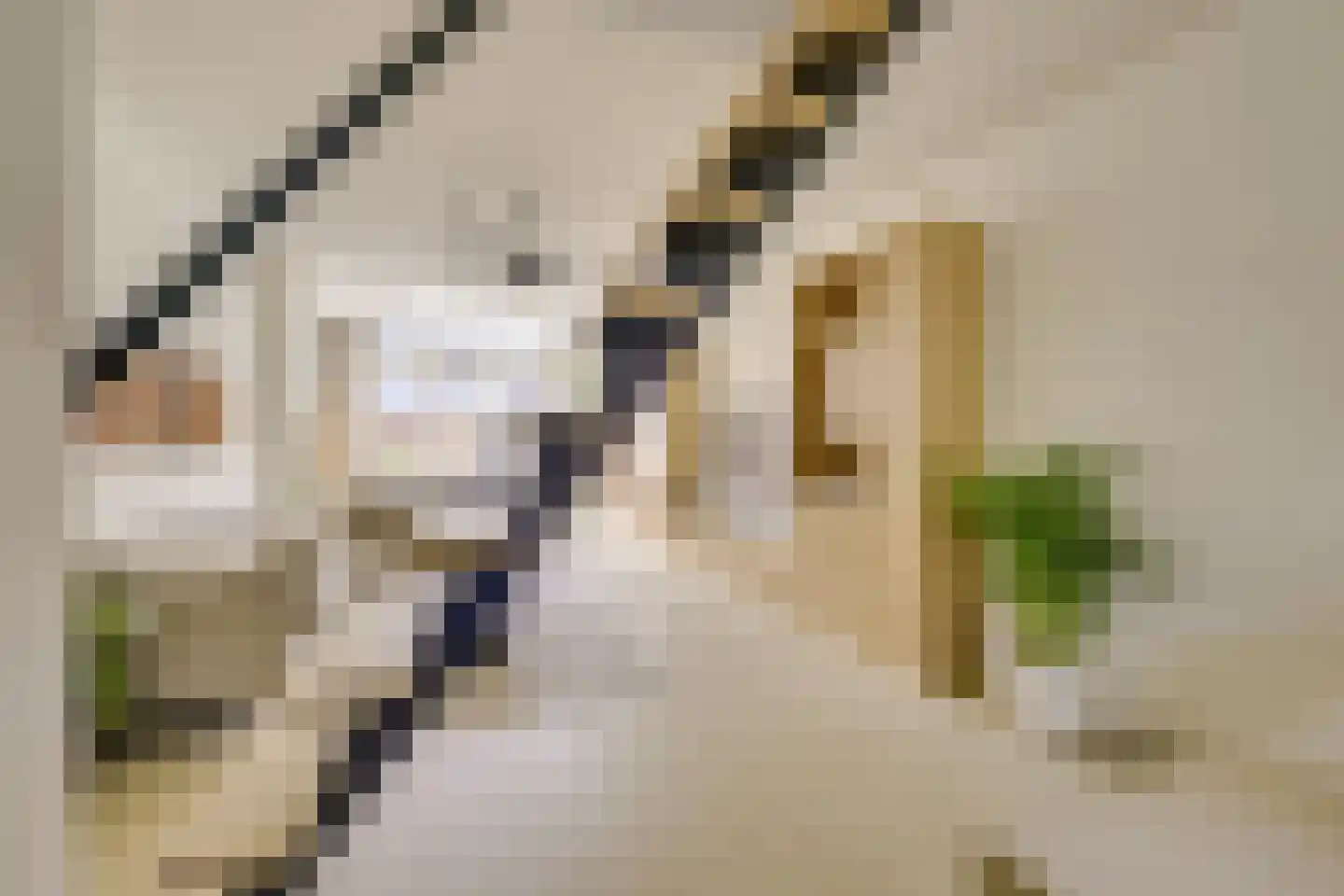 Croesestraat 114 Utrecht thumbnail 18
