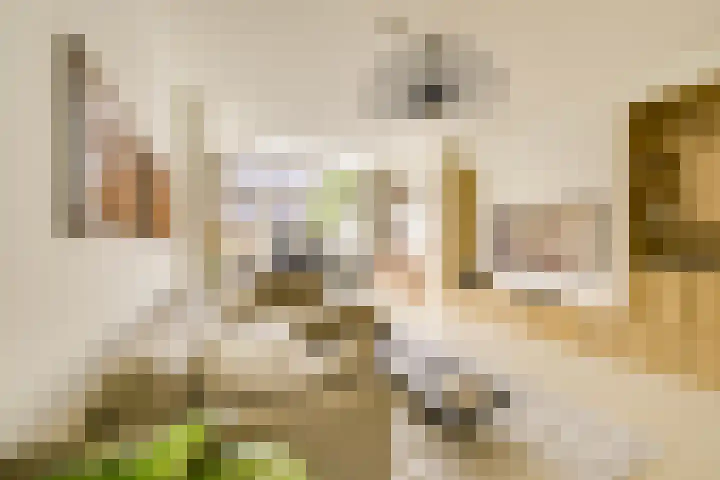 Croesestraat 114 Utrecht thumbnail 21