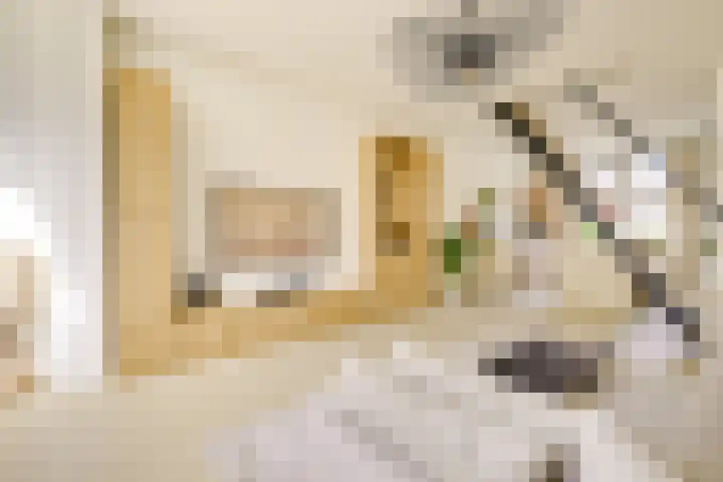 Croesestraat 114 Utrecht thumbnail 22