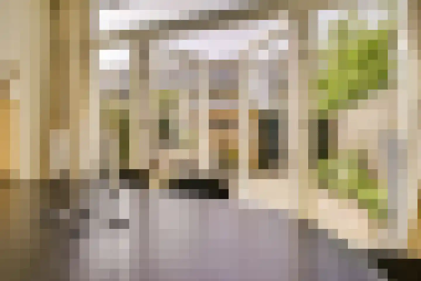 Croesestraat 114 Utrecht thumbnail 27