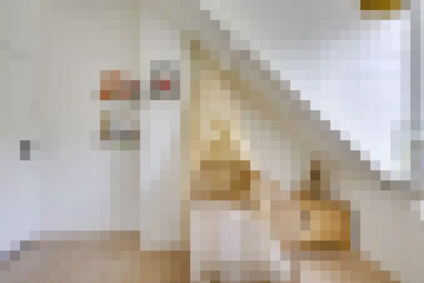 Croesestraat 114 Utrecht thumbnail 39