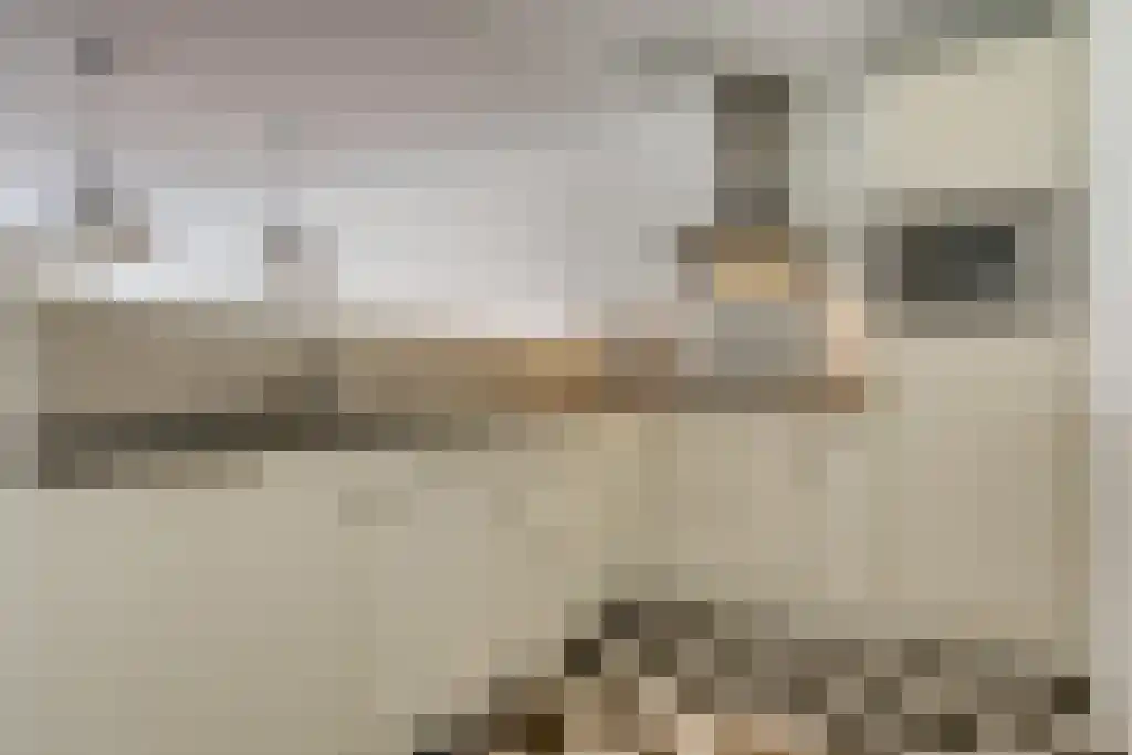 Croesestraat 115 Utrecht thumbnail 5