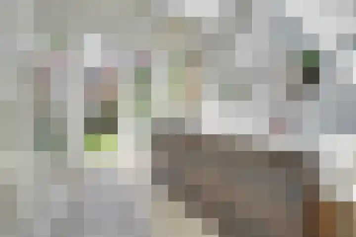 Croesestraat 12 Utrecht thumbnail 17