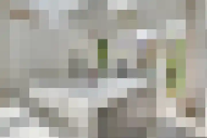 Croesestraat 12 Utrecht thumbnail 18