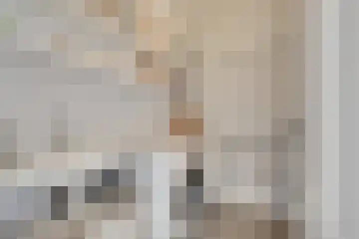 Croesestraat 12 Utrecht thumbnail 32