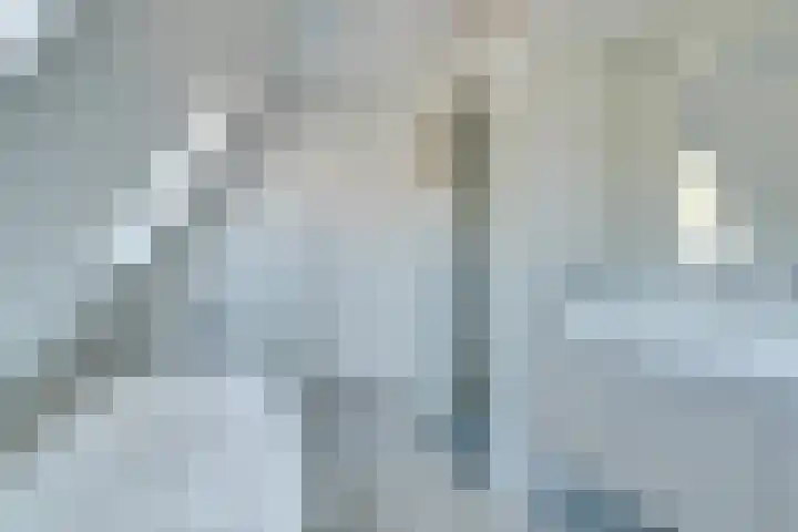 Croesestraat 12 Utrecht thumbnail 4