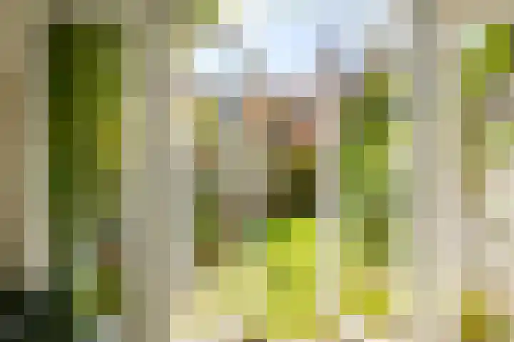 Croesestraat 12 Utrecht thumbnail 5