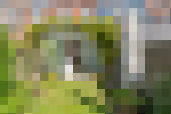 Croesestraat 12 Utrecht thumbnail 56