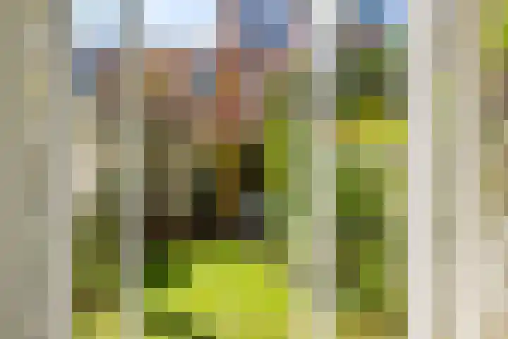Croesestraat 12 Utrecht thumbnail 59