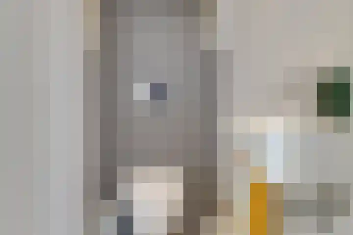 Croesestraat 12 Utrecht thumbnail 7