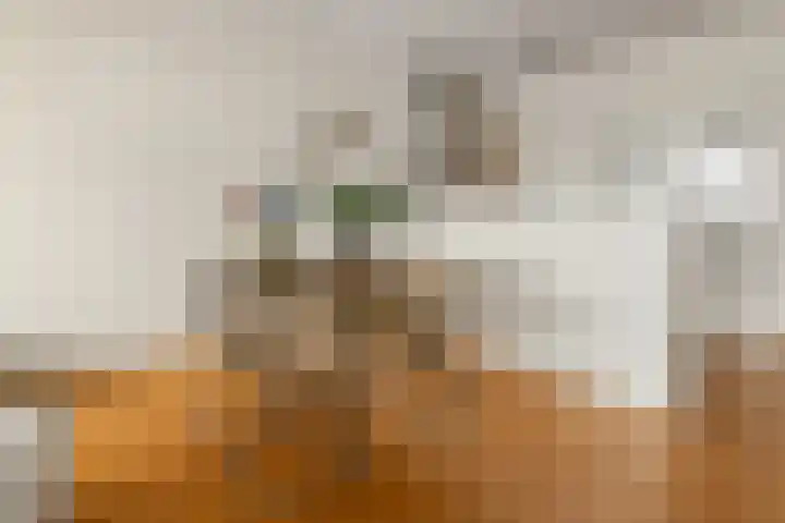 Croesestraat 125 Utrecht thumbnail 10