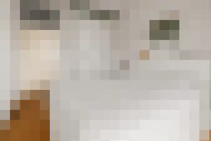 Croesestraat 125 Utrecht thumbnail 16