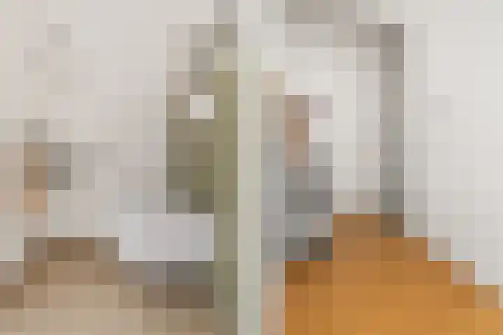 Croesestraat 125 Utrecht thumbnail 17