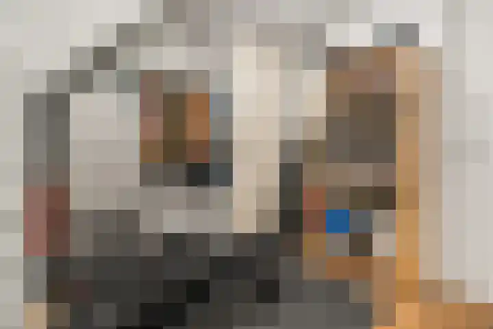Croesestraat 125 Utrecht thumbnail 20