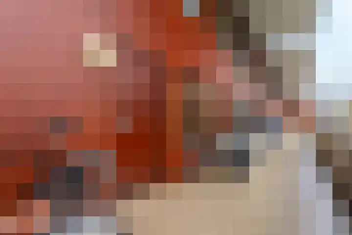 Croesestraat 125 Utrecht thumbnail 24