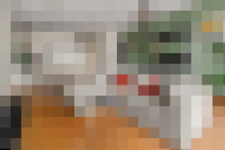 Croesestraat 125 Utrecht thumbnail 9