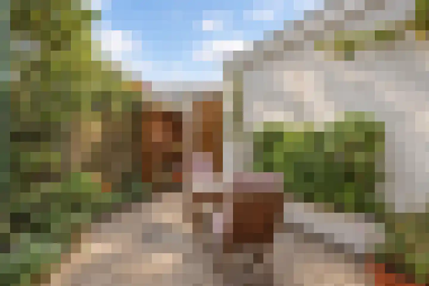 Croesestraat 130 Utrecht thumbnail 20