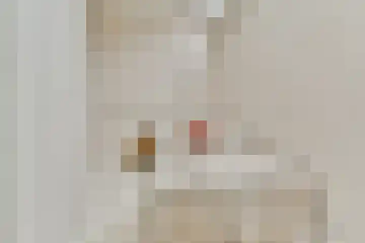 Croesestraat 15 Utrecht thumbnail 19
