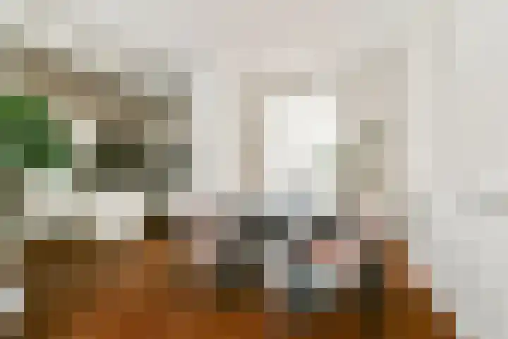 Croesestraat 15 Utrecht thumbnail 8
