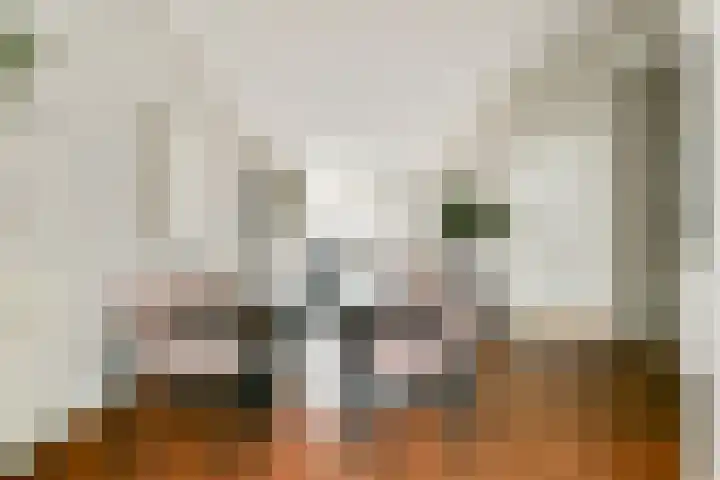 Croesestraat 15 Utrecht thumbnail 9