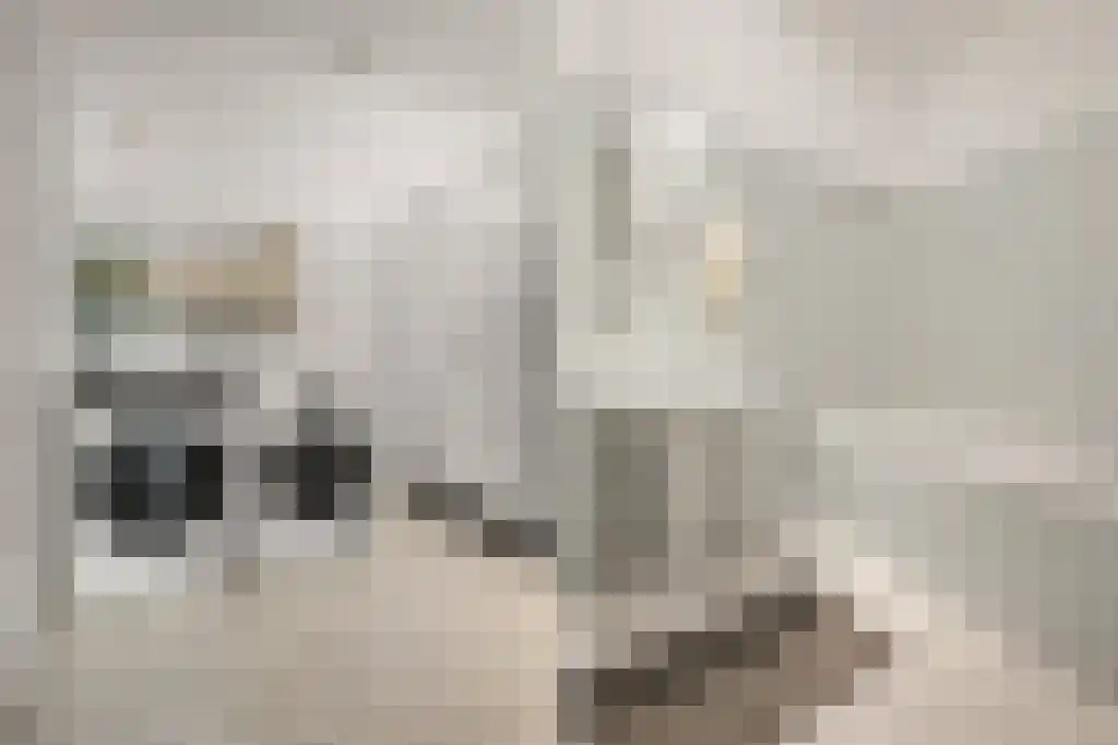 Croesestraat 155 Utrecht thumbnail 19