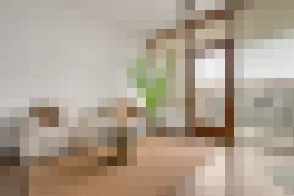 Croesestraat 155 Utrecht thumbnail 8
