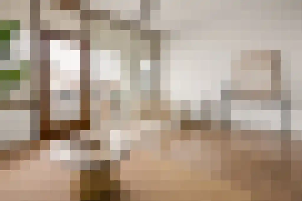 Croesestraat 155 Utrecht thumbnail 9