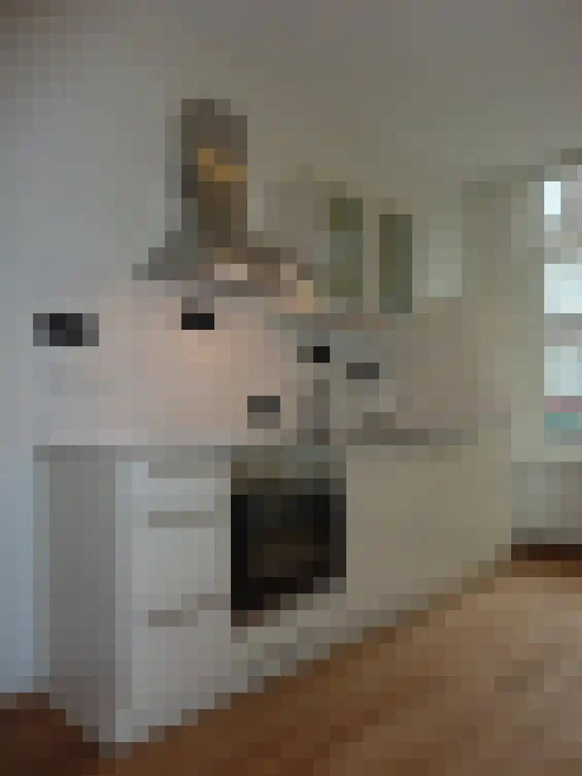 Croesestraat 16 Utrecht thumbnail 4