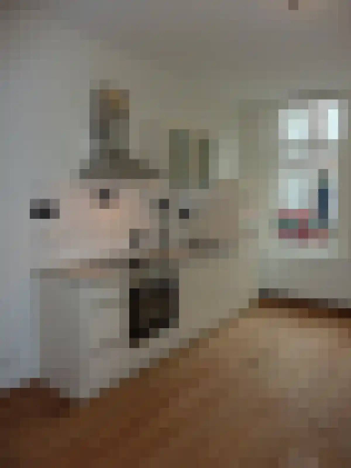 Croesestraat 16 Utrecht thumbnail 5