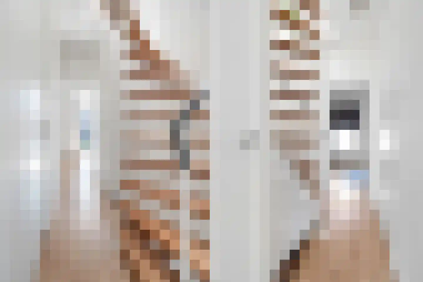 Croesestraat 2 Utrecht thumbnail 17