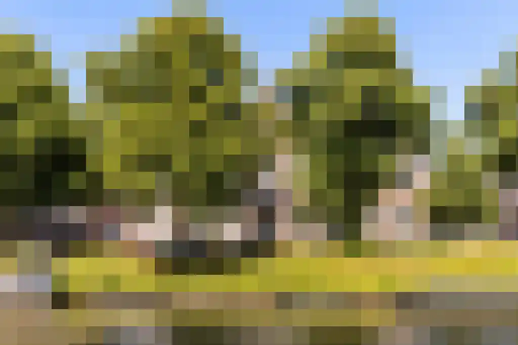 Croesestraat 2 Utrecht thumbnail 40