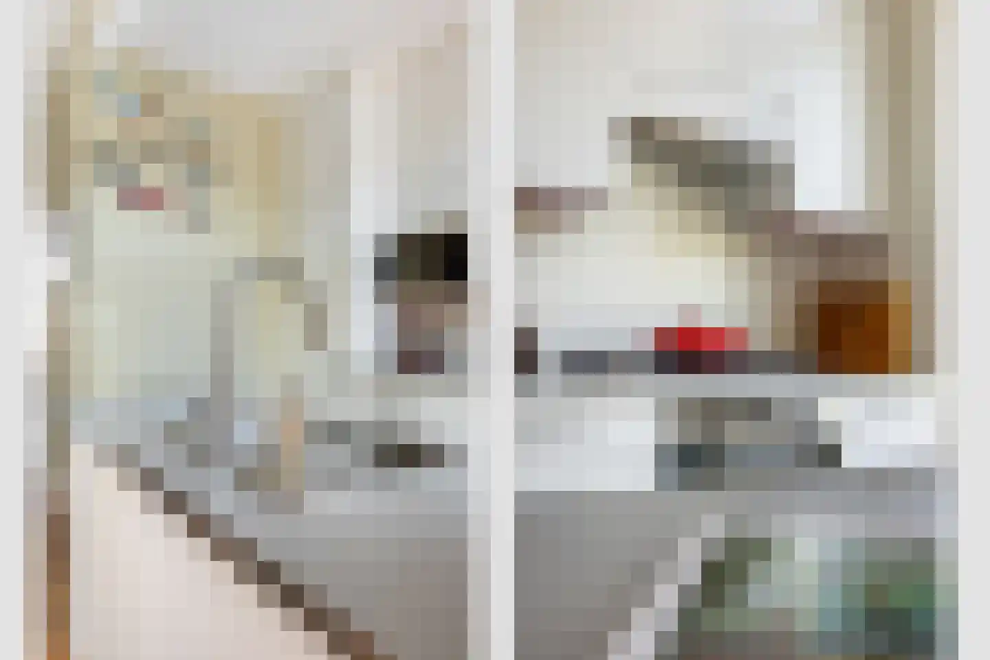 Croesestraat 26 BS Utrecht thumbnail 16