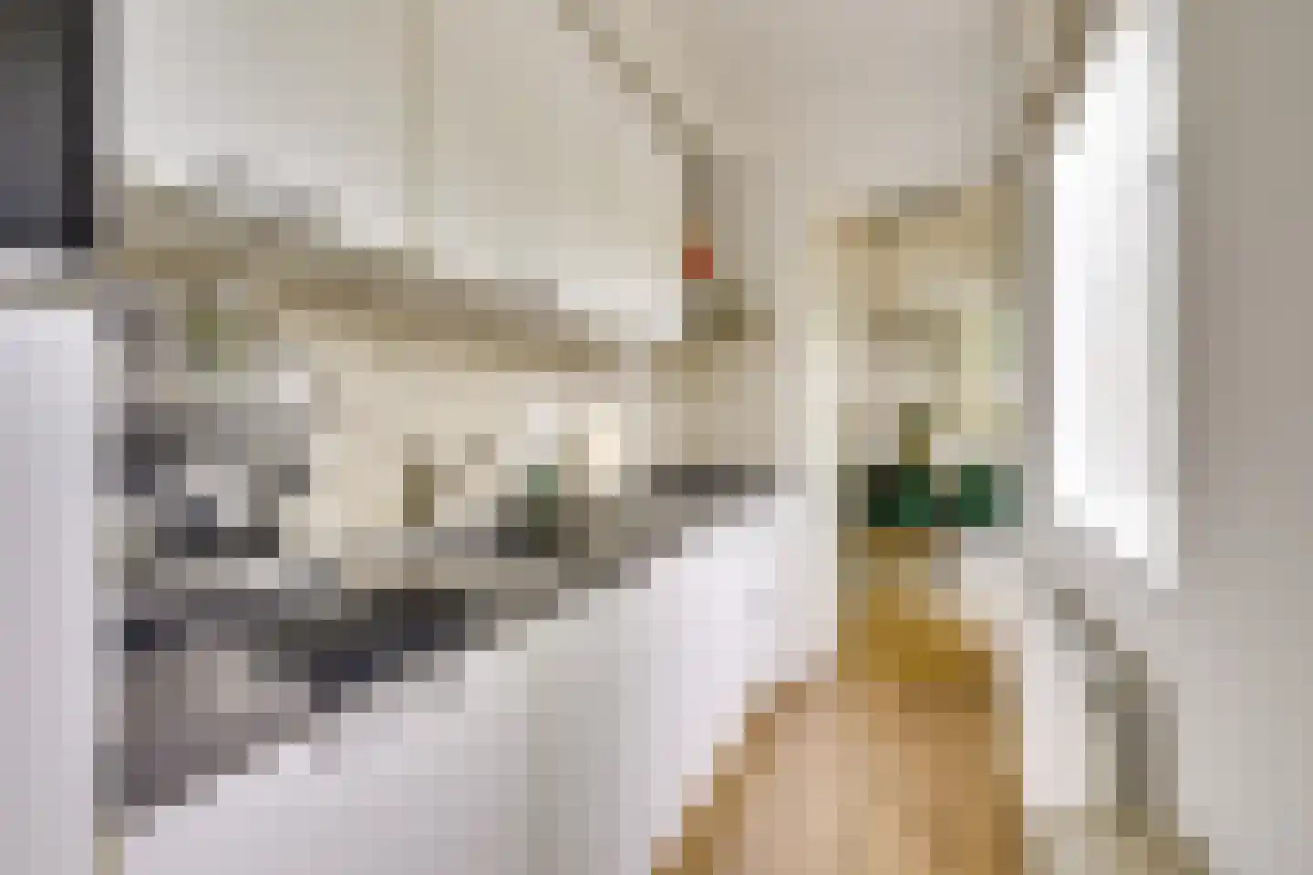 Croesestraat 27 Utrecht thumbnail 14