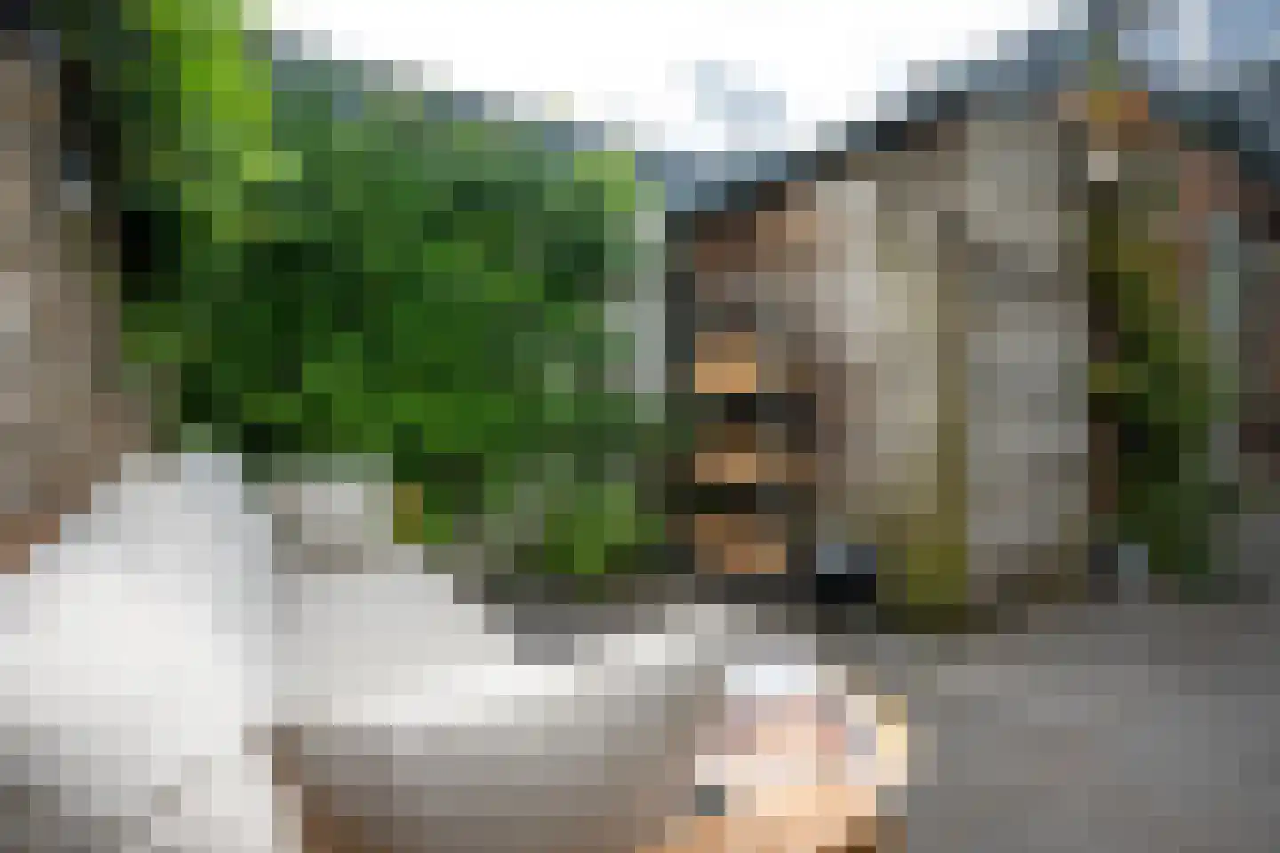 Croesestraat 27 Utrecht thumbnail 18