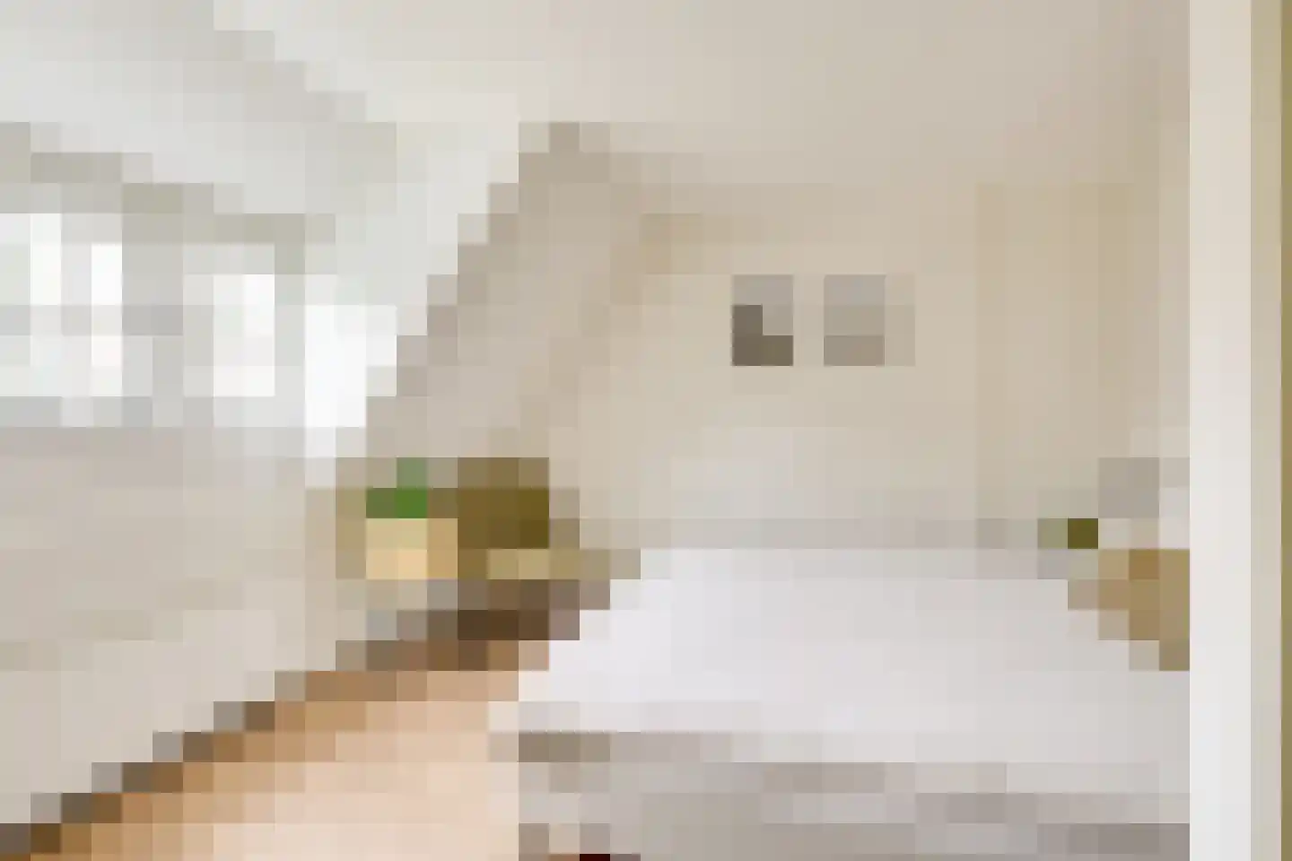 Croesestraat 27 Utrecht thumbnail 26
